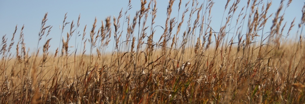 Fotorechte: Margret Herbst